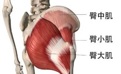 必一体育锻炼臀型的瑜伽动作稳定髋瑜伽常识部紧实肌肉让你的臀部不再扁平！(图3)